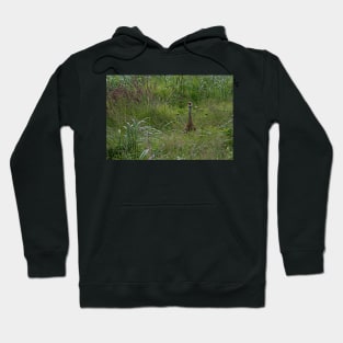 WGC_1469 Hoodie